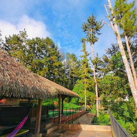 La Semilla Ecolodge Cerro Azul Exterior foto