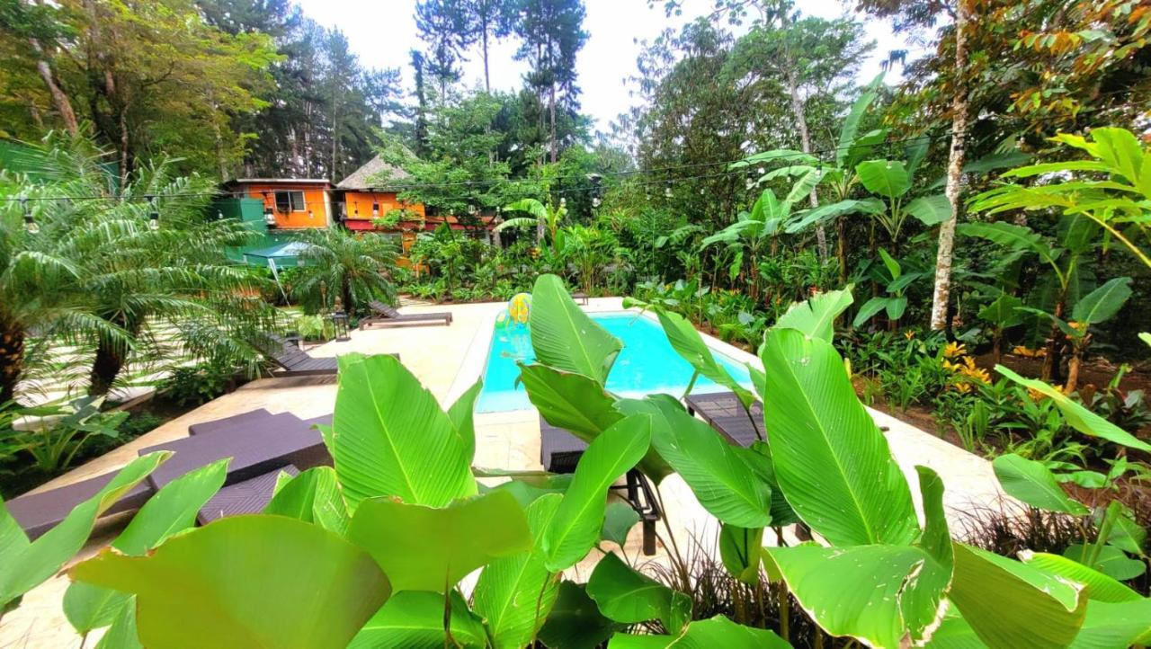 La Semilla Ecolodge Cerro Azul Exterior foto