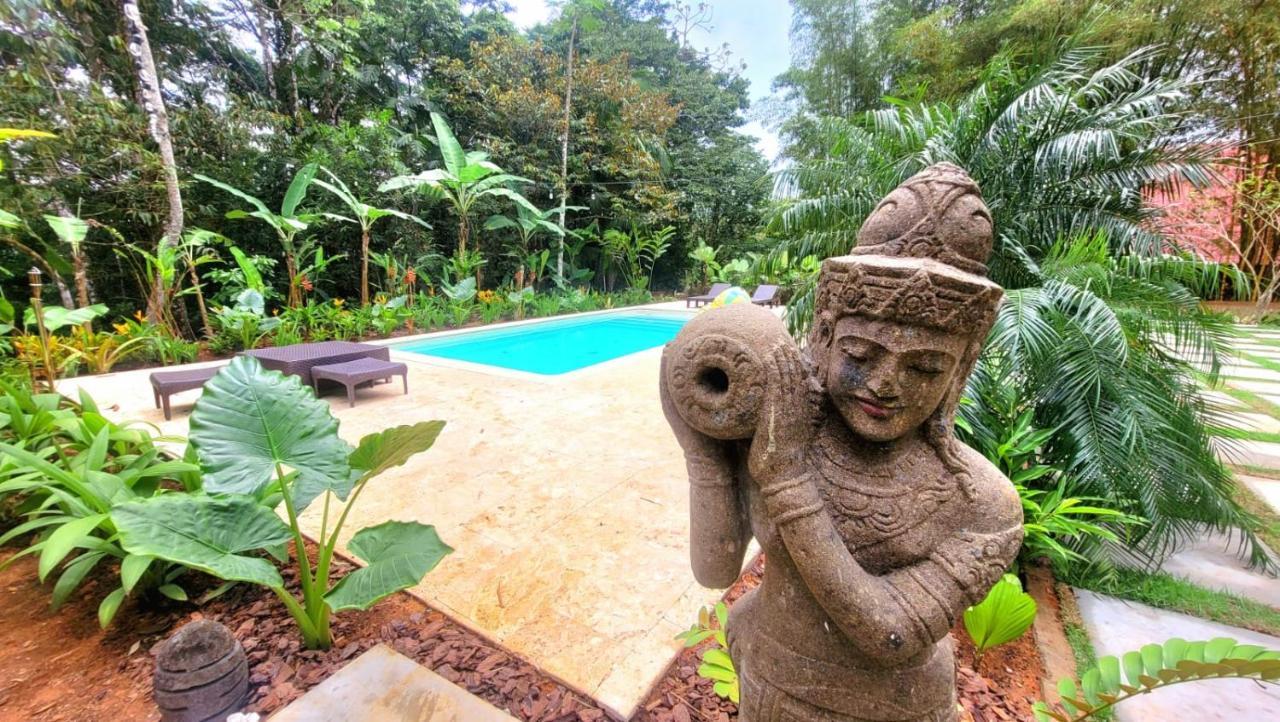 La Semilla Ecolodge Cerro Azul Exterior foto